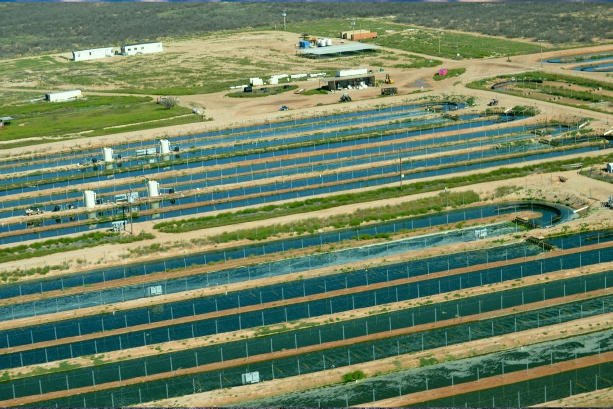 Aerial view of long algae cultivation raceway ponds